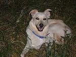     
:  SAM2_2702.JPG
: 23
:	83.6 
ID:	6182856