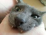     
: 20130501_135341.jpg
: 4
:	155.8 
ID:	6186667