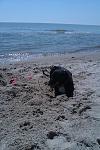     
: IMAG0137.jpg
: 7
:	167.7 
ID:	6190632