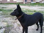    
: 26042013638.jpg
: 27
:	212.1 
ID:	6190841
