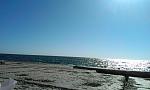     
: IMAG0002_COVER.jpg
: 20
:	115.5 
ID:	6191650