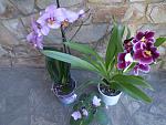     
: P1010037.jpg
: 12
:	150.3 
ID:	6191733