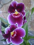     
: P1010039.jpg
: 6
:	84.4 
ID:	6191750