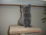     
: DSC02507.jpg
: 8
:	73.0 
ID:	6191924