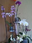     
: P1010014.jpg
: 6
:	81.4 
ID:	6192021