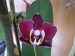     
: P1010018.jpg
: 6
:	74.4 
ID:	6192030
