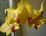     
: P1080298.jpg
: 8
:	45.5 
ID:	6193302