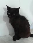     
: 20130508_145843.jpg
: 3
:	39.6 
ID:	6194563