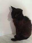     
: 20130508_145853.jpg
: 2
:	42.5 
ID:	6194567
