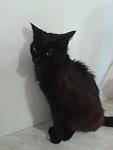     
: 20130508_145813.jpg
: 2
:	39.5 
ID:	6194568
