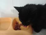     
: 20130508_150315.jpg
: 4
:	62.8 
ID:	6194570