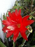     
: Фото0597.jpg
: 29
:	81.9 
ID:	6197167