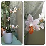     
: image.jpg
: 7
:	200.5 
ID:	6198615