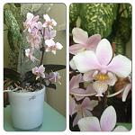     
: image.jpg
: 6
:	217.5 
ID:	6198617