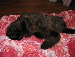     
: IMG_3208.jpg
: 12
:	128.7 
ID:	6200436