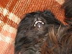     
: IMG_3211.jpg
: 12
:	265.7 
ID:	6200438
