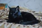     
: DSC_75~2.JPG
: 11
:	6.6 
ID:	6201890