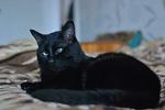     
: DSC_75~3.JPG
: 17
:	5.6 
ID:	6201891