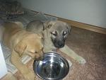     
: 20130511_175116.jpg
: 9
:	117.4 
ID:	6206654