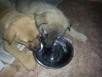     
: 20130511_175150.jpg
: 9
:	144.2 
ID:	6206655