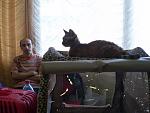     
: P4265390.jpg
: 30
:	118.1 
ID:	6208204