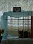     
: P4265412.jpg
: 6
:	115.8 
ID:	6208224