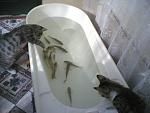     
: Image(578).jpg
: 10
:	79.5 
ID:	6210363