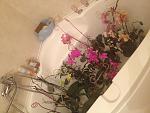     
: image.jpg
: 4
:	145.2 
ID:	6211154