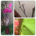     
: image.jpg
: 5
:	232.3 
ID:	6211164