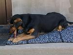     
: Фото-0417.jpg
: 2
:	101.5 
ID:	6213068