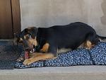     
: Фото-0418.jpg
: 3
:	289.1 
ID:	6213070
