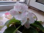     
: IMG_20130513_112425.jpg
: 7
:	75.1 
ID:	6213630