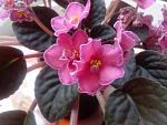     
: IMG_20130513_112619.jpg
: 10
:	111.1 
ID:	6213633