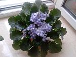    
: IMG_20130513_113014.jpg
: 8
:	112.7 
ID:	6213634