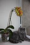     
: IMG_0070.jpg
: 5
:	55.3 
ID:	6217177