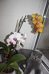     
: IMG_0074.jpg
: 6
:	68.6 
ID:	6217181