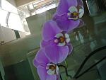     
: Фото0058.jpg
: 4
:	95.5 
ID:	6217320