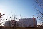     
: IMG_5251.jpg
: 156
:	118.6 
ID:	621823