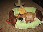    
: IMG_5749.jpg
: 7
:	129.1 
ID:	6218363