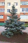     
: IMG_5287.jpg
: 105
:	169.1 
ID:	621876