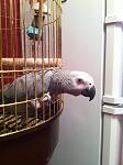     
: IMG_0136.jpg
: 15
:	99.3 
ID:	6221986