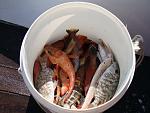     
: DSC08112.jpg
: 17
:	134.7 
ID:	6223378
