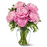     
: imagesCALCXLZV.jpg
: 22
:	8.2 
ID:	6225857