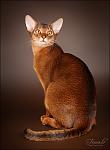     
: IMG_9376_2.jpg
: 19
:	182.4 
ID:	6226726