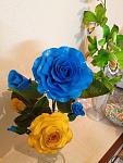     
: getImлоиолage.jpeg
: 11
:	31.6 
ID:	6228853