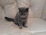     
: 2013-05-15 22.17.02.jpg
: 14
:	75.3 
ID:	6229427