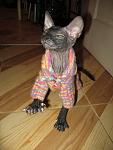     
: IMG_6266.jpg
: 29
:	105.5 
ID:	623235