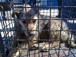     
: 16052013350.jpg
: 11
:	235.5 
ID:	6234506