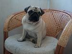     
: Фото0199.jpg
: 10
:	131.7 
ID:	6234893