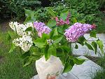     
: Мои работы (май2013&#107.jpg
: 8
:	198.1 
ID:	6238449